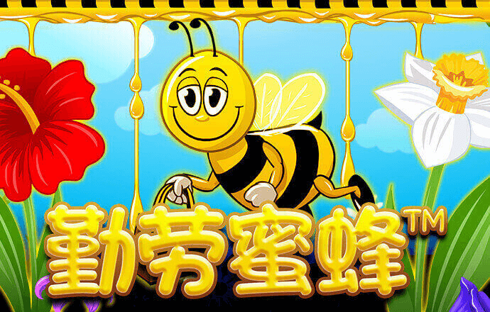 必一体育APP